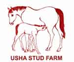 usha-stud-farm