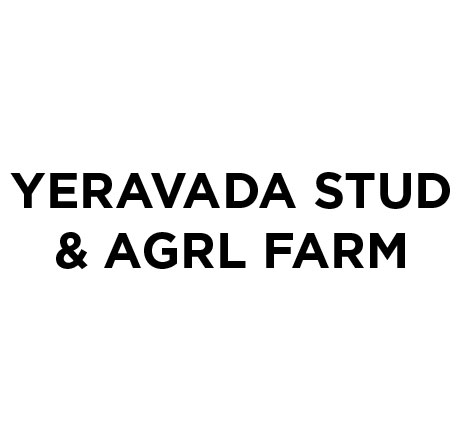 Yeravada-Stud-Farm